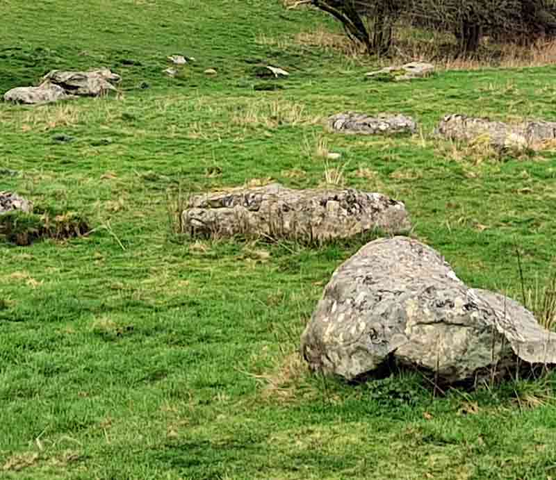 Large stones in the woodland landscape.