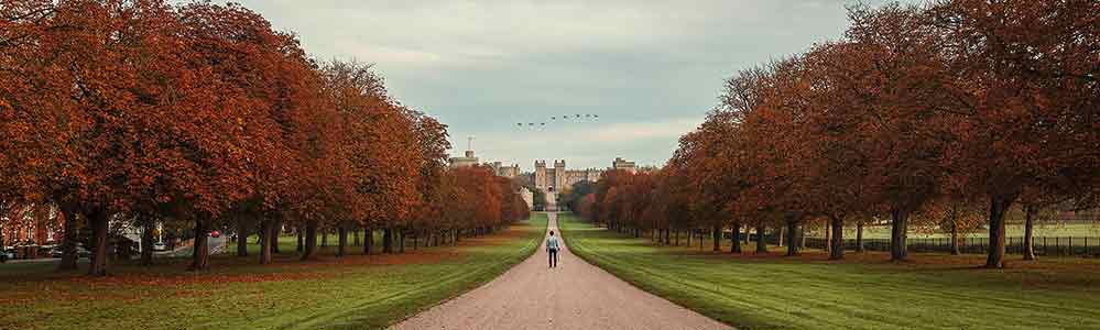 Panoramic view towards the castle with autumnal trees.